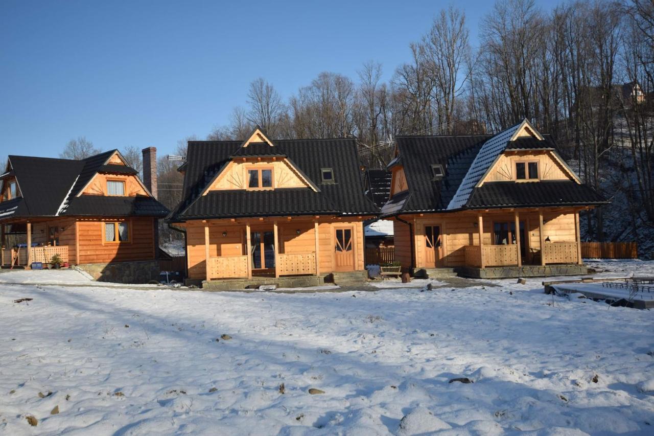 Dolina Villa Zakopane Kültér fotó